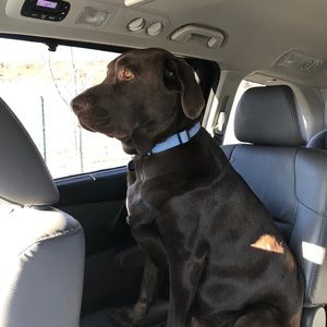 Meet your Posher, Bekki